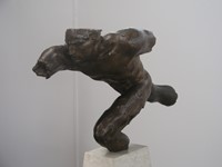 Muški torzo (Torzo)